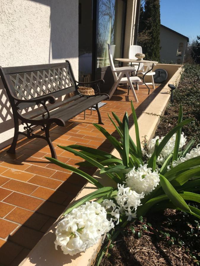 Exklusives Apartment In Bad Saeckingen Fuer 2 Person Dış mekan fotoğraf